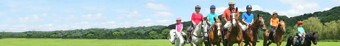 PASSEZ DE BONNES FÊTES DE FIN D'ANNEE